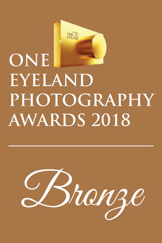 OneEyeLand Awards 2018